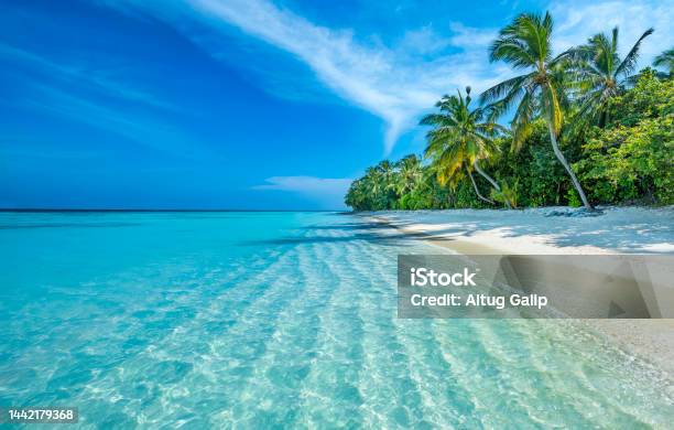 maldives tropical island